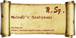 Molnár Szalviusz névjegykártya